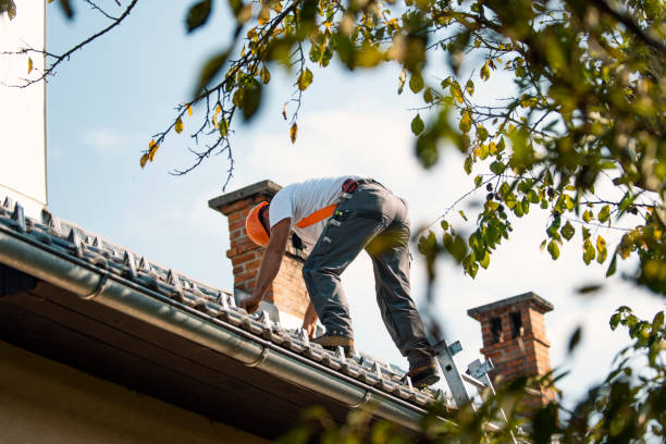 Quick and Trustworthy Emergency Roof Repair Services in Descanso, CA