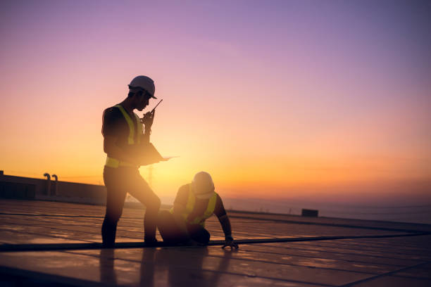 Best Roof Gutter Cleaning  in Desnso, CA